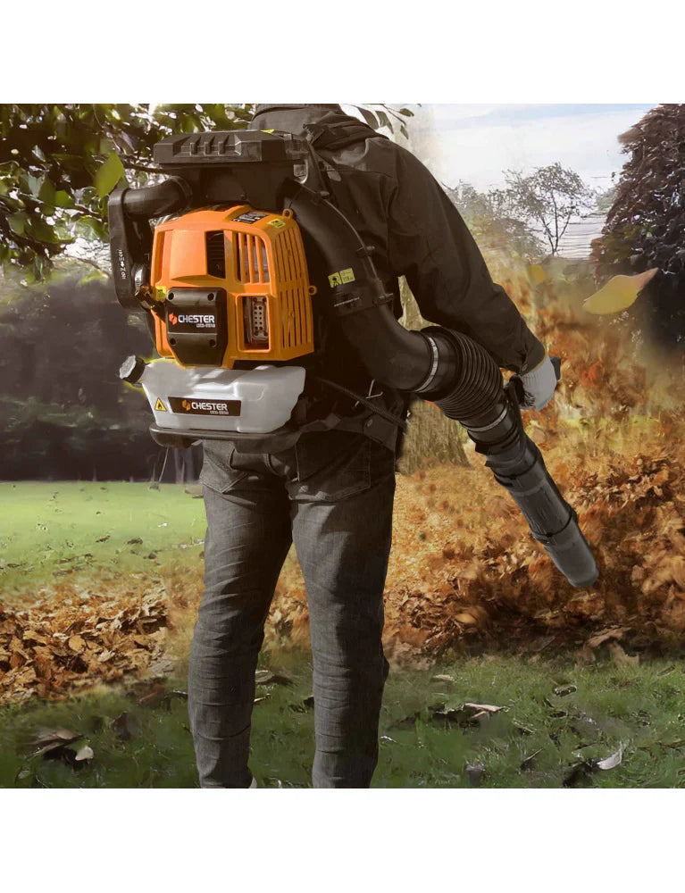 Ramasser feuilles mortes : méthodes rapides et outils efficaces ...