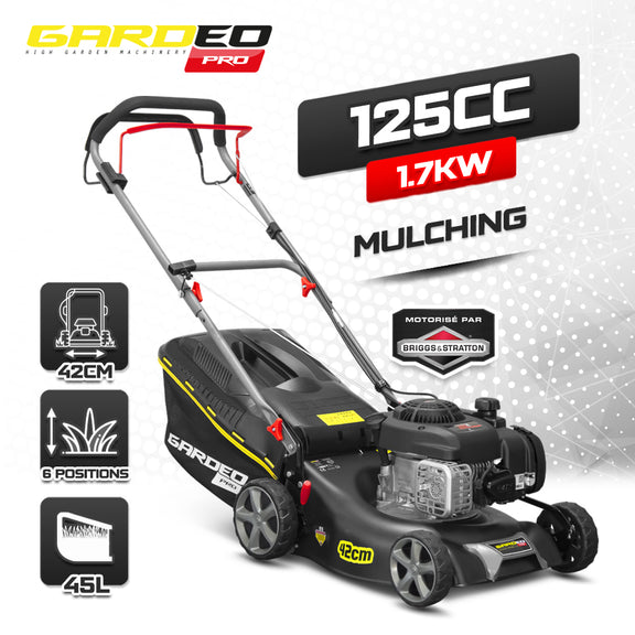 Tondeuse thermique autotractée - moteur Briggs and Stratton 125cc - 42 ...