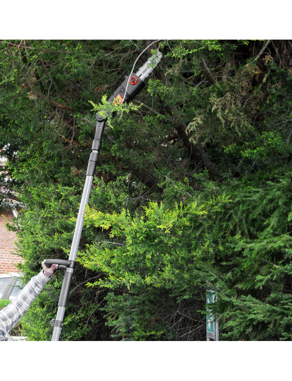 Scie à ébrancher sur perche 710W - guide 4 cm