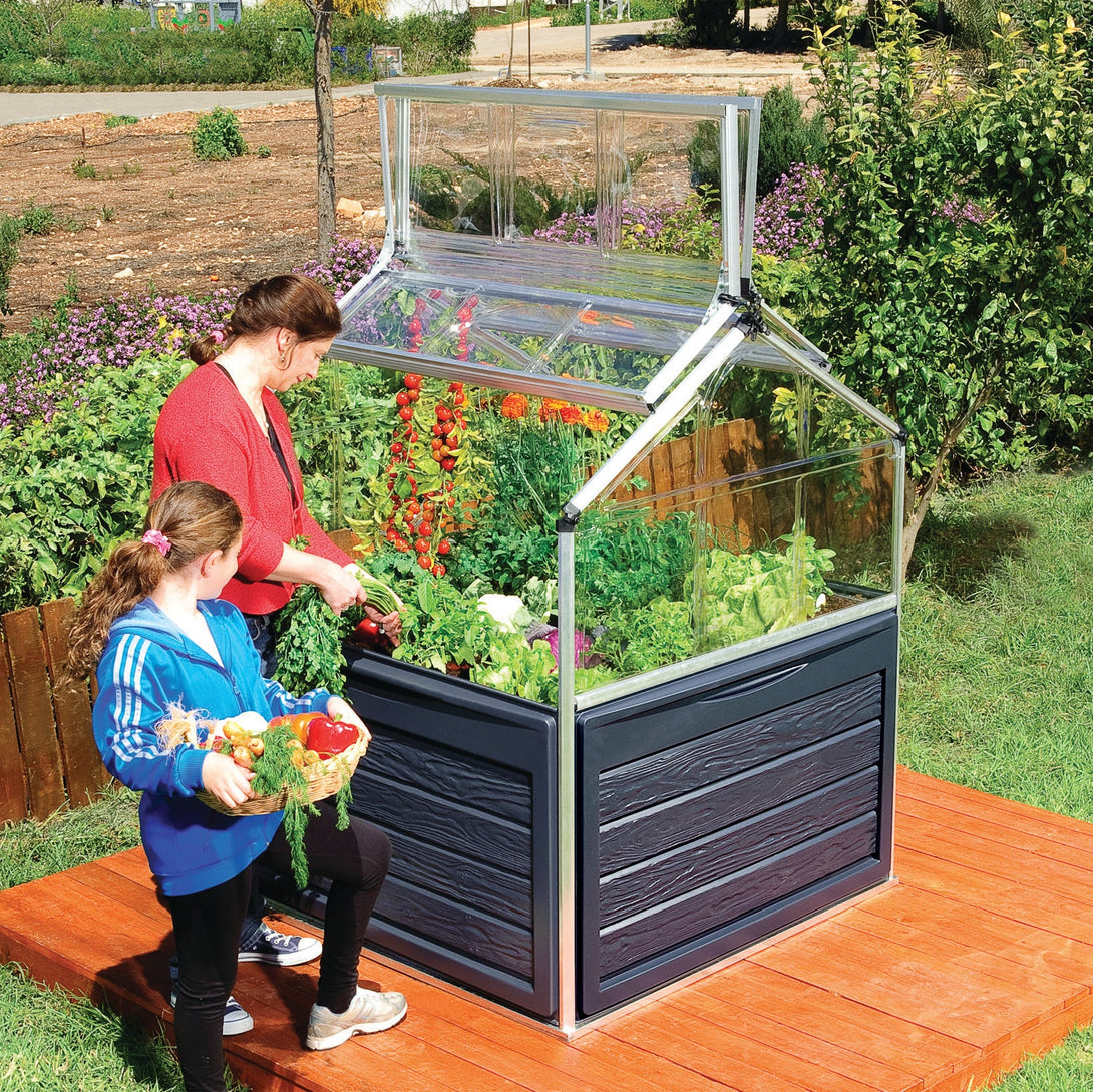 Mini serre Plant Inn Silver – cultivez facilement avec potager surélevé ...