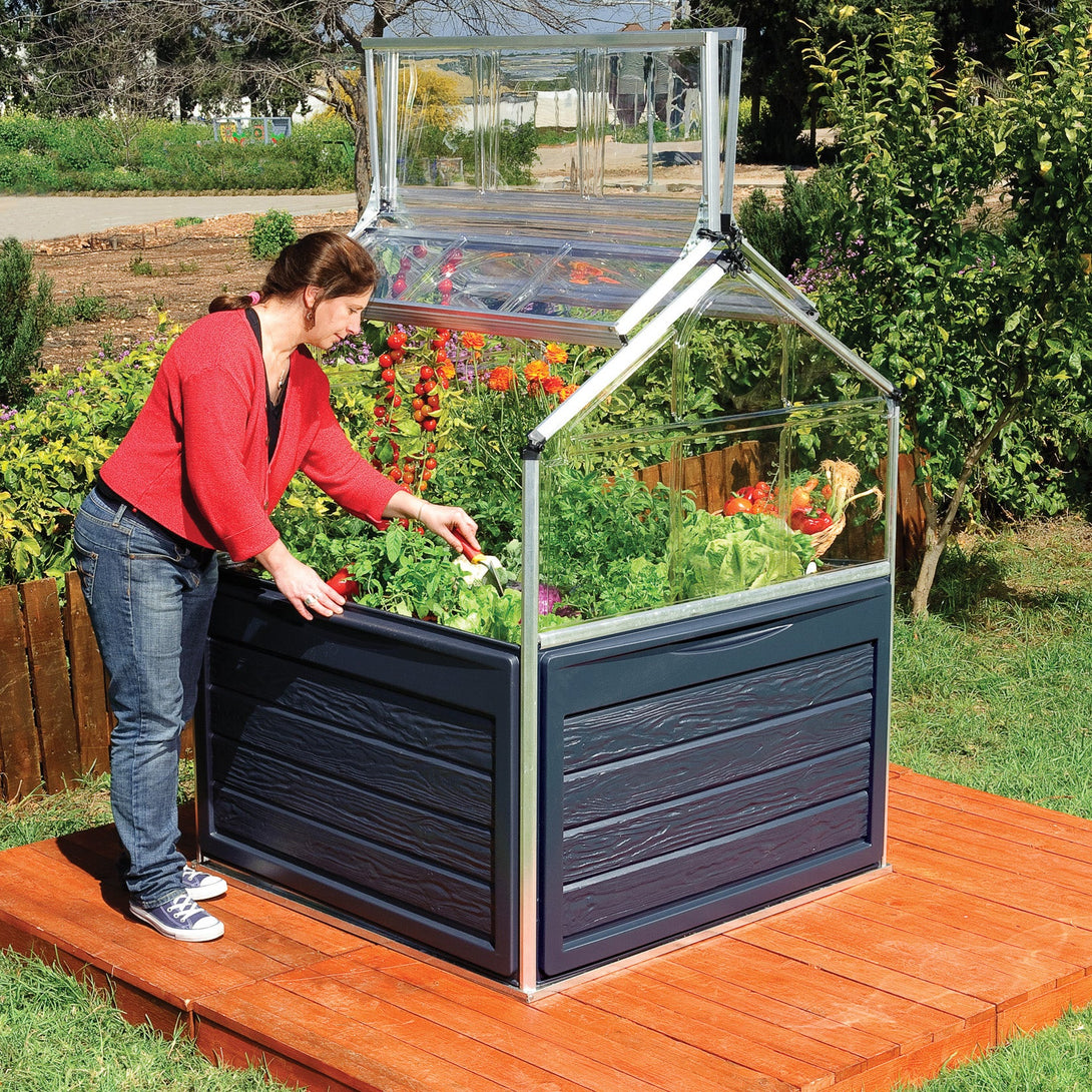 Mini serre Plant Inn Silver – cultivez facilement avec potager surélevé ...